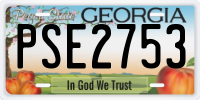 GA license plate PSE2753