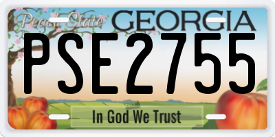GA license plate PSE2755
