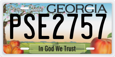 GA license plate PSE2757