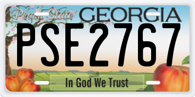 GA license plate PSE2767