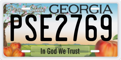 GA license plate PSE2769