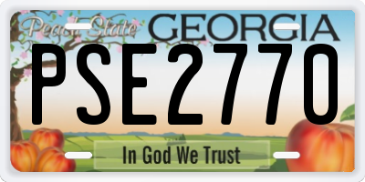 GA license plate PSE2770