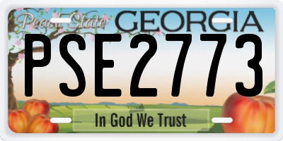 GA license plate PSE2773