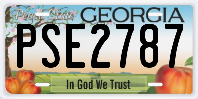 GA license plate PSE2787