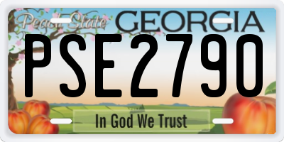 GA license plate PSE2790