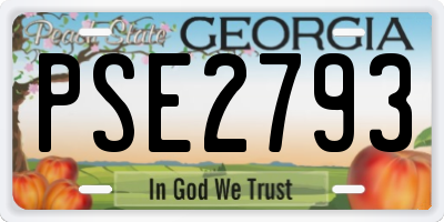 GA license plate PSE2793