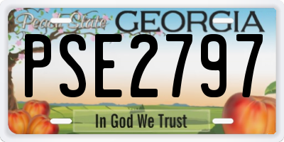 GA license plate PSE2797
