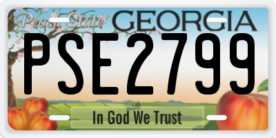 GA license plate PSE2799