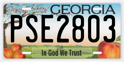 GA license plate PSE2803