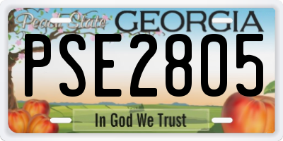 GA license plate PSE2805