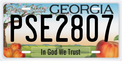 GA license plate PSE2807