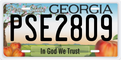GA license plate PSE2809