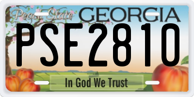 GA license plate PSE2810