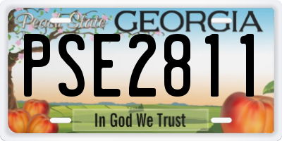 GA license plate PSE2811
