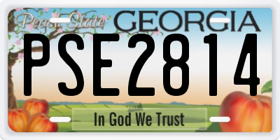 GA license plate PSE2814