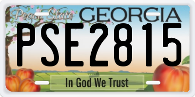 GA license plate PSE2815