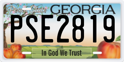 GA license plate PSE2819