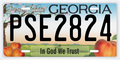 GA license plate PSE2824