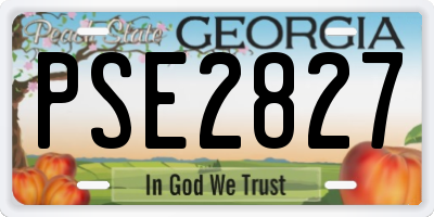 GA license plate PSE2827