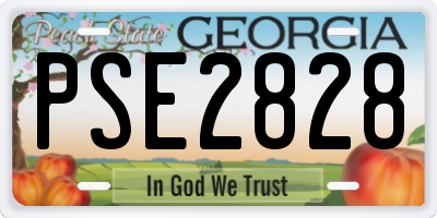 GA license plate PSE2828