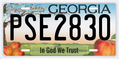 GA license plate PSE2830