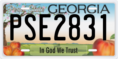 GA license plate PSE2831
