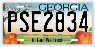 GA license plate PSE2834