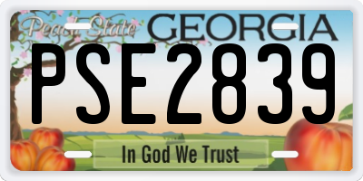 GA license plate PSE2839