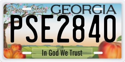 GA license plate PSE2840