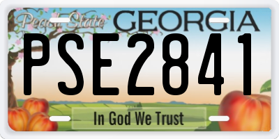 GA license plate PSE2841