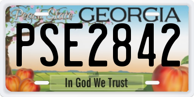 GA license plate PSE2842