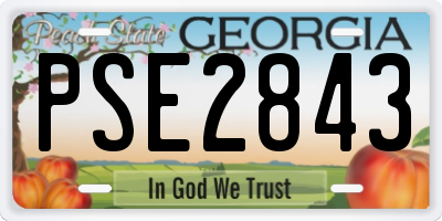 GA license plate PSE2843