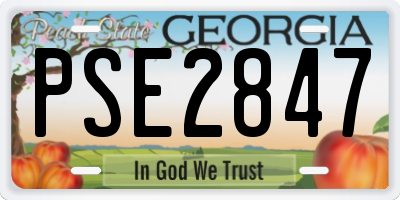 GA license plate PSE2847