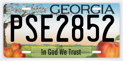 GA license plate PSE2852