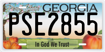 GA license plate PSE2855