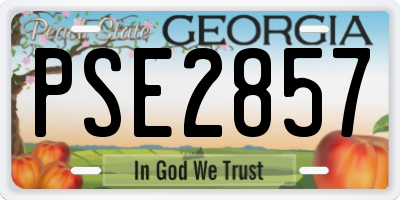 GA license plate PSE2857