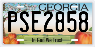 GA license plate PSE2858