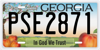 GA license plate PSE2871