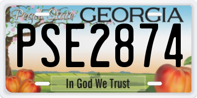 GA license plate PSE2874