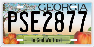 GA license plate PSE2877