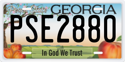 GA license plate PSE2880