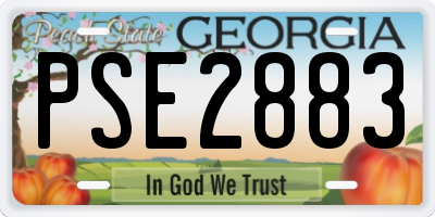 GA license plate PSE2883