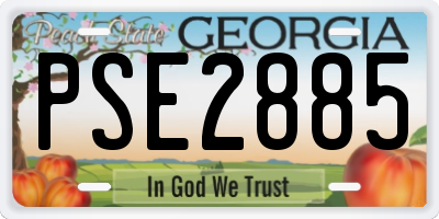 GA license plate PSE2885