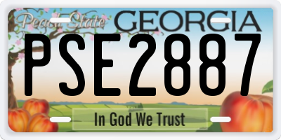 GA license plate PSE2887