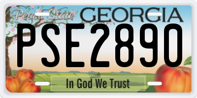 GA license plate PSE2890