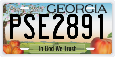 GA license plate PSE2891