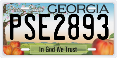GA license plate PSE2893