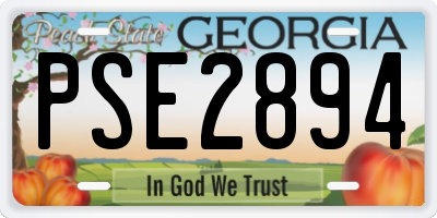 GA license plate PSE2894