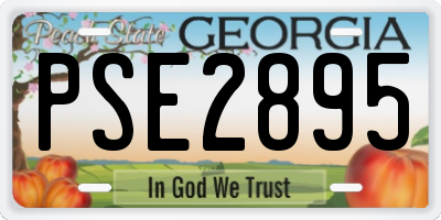 GA license plate PSE2895