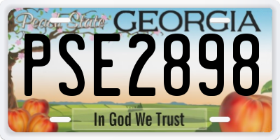 GA license plate PSE2898